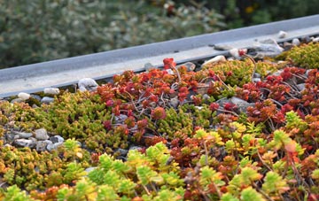 the cost of Aish green roof installation