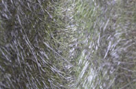 Aish fibreglass roof work